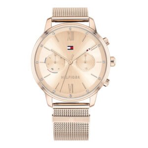 Moteriškas laikrodis Tommy Hilfiger Blake 1782303