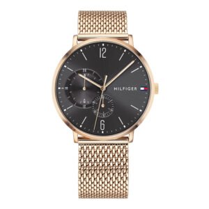 Vyriškas laikrodis Tommy Hilfiger Brooklyn 1791506