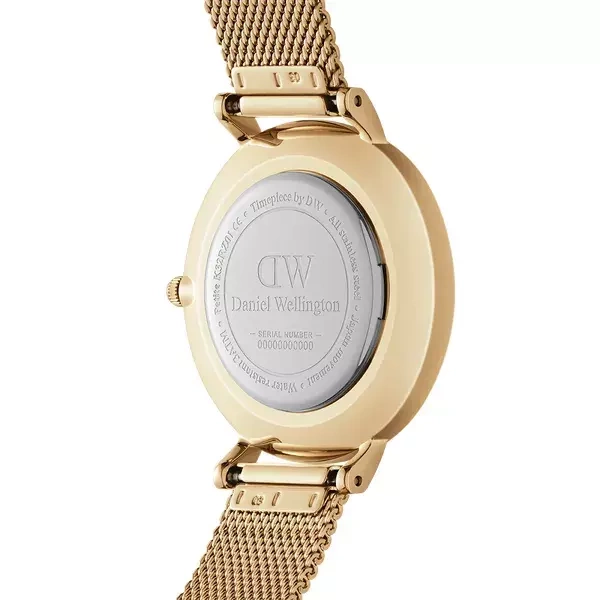 Moteriškas laikrodis DANIEL WELLINGTON DW00100347 – PETITE EVERGOLD 32 mm – 4
