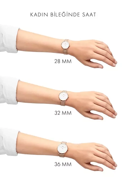 Moteriškas laikrodis DANIEL WELLINGTON DW00100246 – PETITE ASHFIELD 28 MM – 6