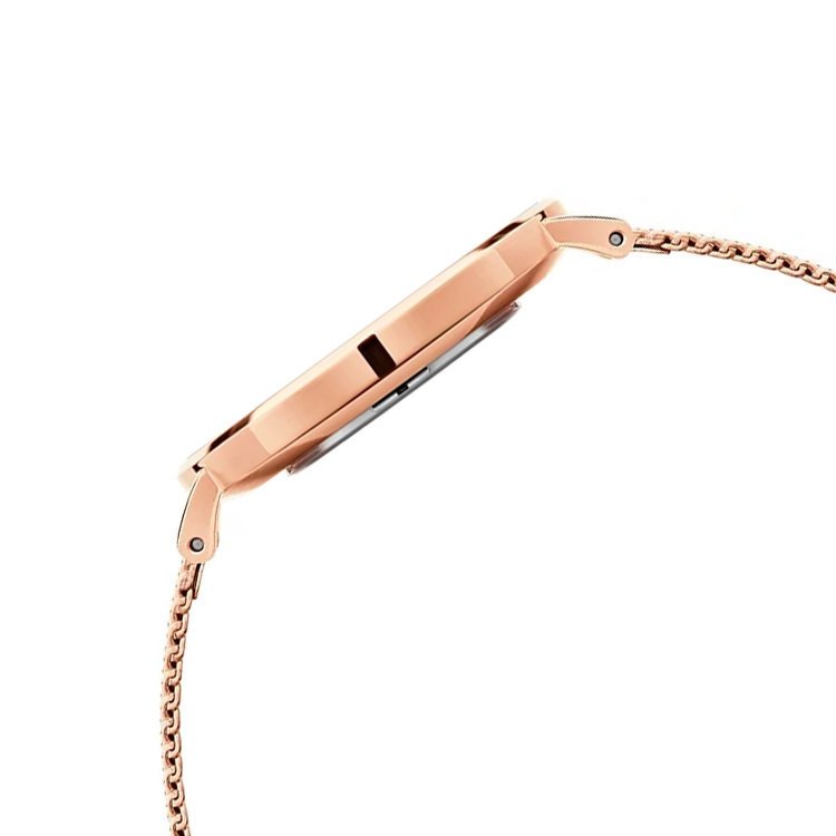 Moteriškas laikrodis DANIEL WELLINGTON DW00100305 – PETITE MELROSE 36 mm – 4