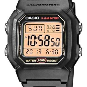 Vyriškas laikrodis CASIO W-800HG-9AVDF