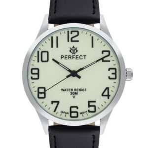 Vyriškas laikrodis Perfect GXB452-04