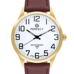 Vyriškas laikrodis Perfect GXB452-12
