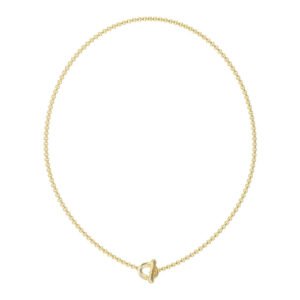 Moteriškas papuošalas Guess Ladies Necklace JUBN05371JWYGTU
