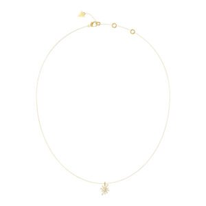 Moteriškas papuošalas Guess Ladies Necklace JUBN05563JWYGTU