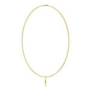 Vyriškas papuošalas Guess Mens Necklace JUMN05101JWYGTU