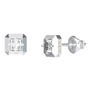 Moteriškas papuošalas Guess Ladies Earrings JUBE06180JWRHTU