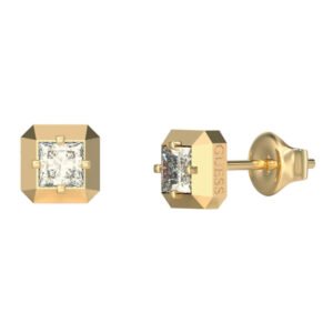 Moteriškas papuošalas Guess Ladies Earrings JUBE06180JWYGTU