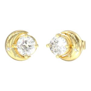 Moteriškas papuošalas Guess Ladies Earrings JUBE06233JWYGTU