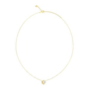 Moteriškas papuošalas Guess Ladies Necklace JUBN06232JWYGTU