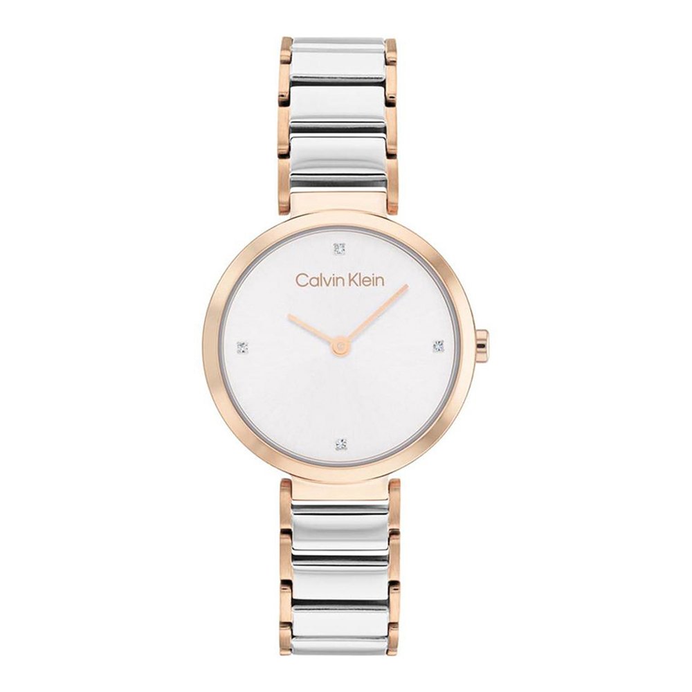 Moteriškas laikrodis Calvin Klein Minimalistic 25200139