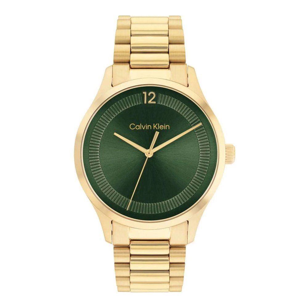 Vyriškas laikrodis Calvin Klein Iconic 25200229