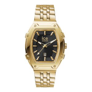 Moteriškas laikrodis ICE Watch Boliday 024970