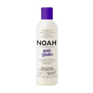 1.9. Anti-Yellow Shampoo Geltonus atspalvius neutralizuojantis šampūnas, 250ml