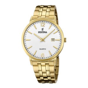 Vyriškas laikrodis Festina Classics F20513/2