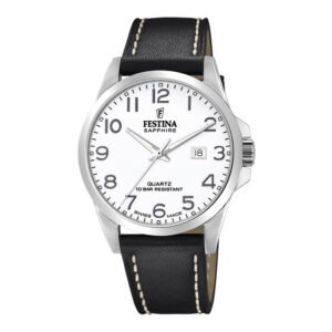 Vyriškas laikrodis Festina Classics F20446/1