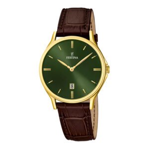 Vyriškas laikrodis Festina Classics F16747/5
