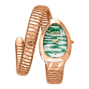 Moteriškas laikrodis Just Cavalli Glam Evo 8 JC1L225M0065
