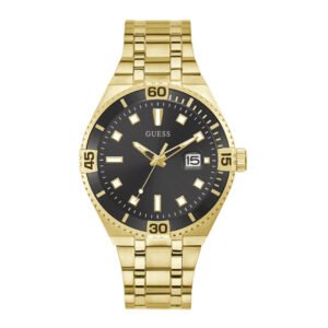 Vyriškas laikrodis Guess Premier GW0330G2