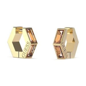 Moteriškas papuošalas Guess Ladies Earrings JUBE03133JWYGPETU