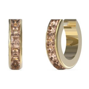 Moteriškas papuošalas Guess Ladies Earrings JUBE03134JWYGPETU
