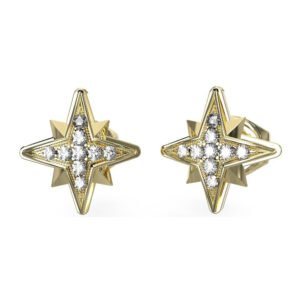 Moteriškas papuošalas Guess Ladies Earrings JUBE03331JWYGTU