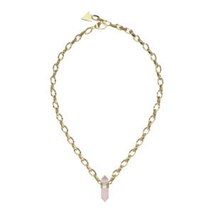 Moteriškas papuošalas Guess Ladies Necklace JUBN03117JWYGRSTU