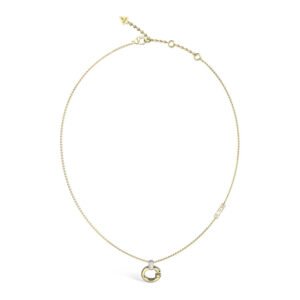 Moteriškas papuošalas Guess Ladies Necklace JUBN04518JWYGTU