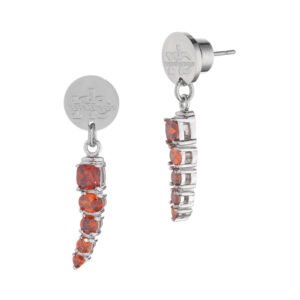 Moteriškas papuošalas Roccobarocco Ladies Earrings RBJ0015SS
