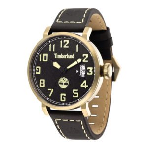Vyriškas laikrodis Timberland Indicator TBL.14861JSK/02