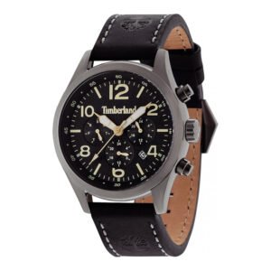 Vyriškas laikrodis Timberland Ashmont TBL.15249JSU/02