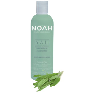 YAL Hydrating And Restorative Treatment Shampoo Drėkinantis šampūnas su hialurono rūgštimi ir šalaviju, 250ml