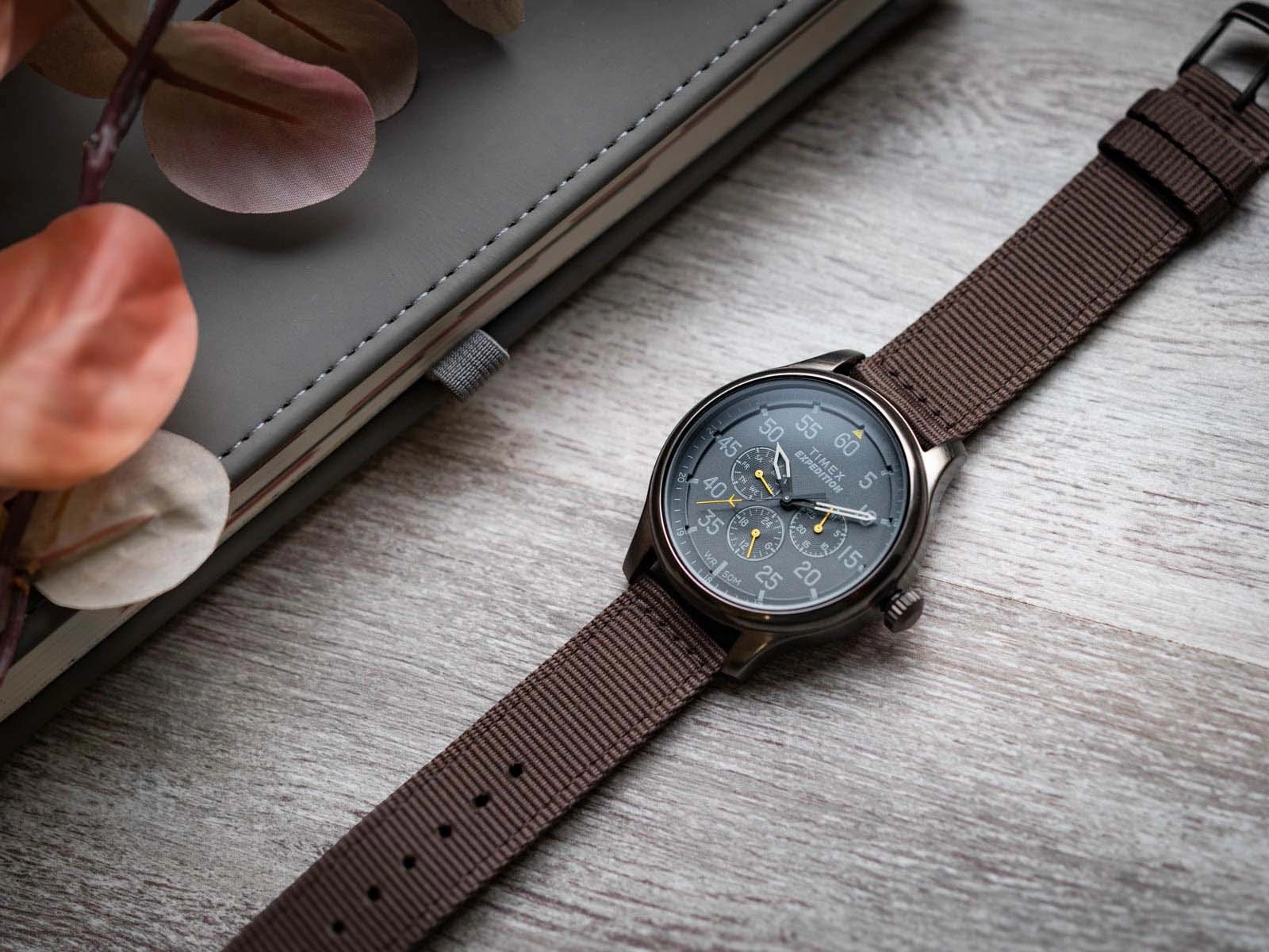 Vyriškas laikrodis TIMEX Expedition Field TW4B30900 – 8