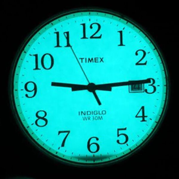 Vyriškas laikrodis TIMEX EASY READER TW2W95400 – 4