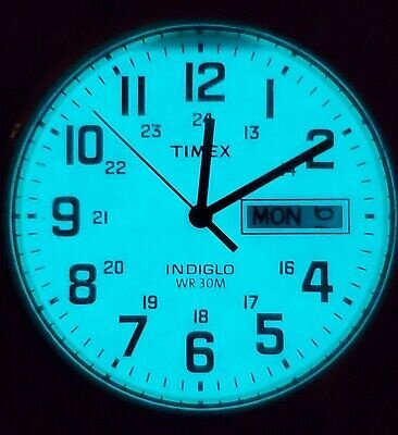 Vyriškas laikrodis TIMEX South Street Sport T2M932 – 4