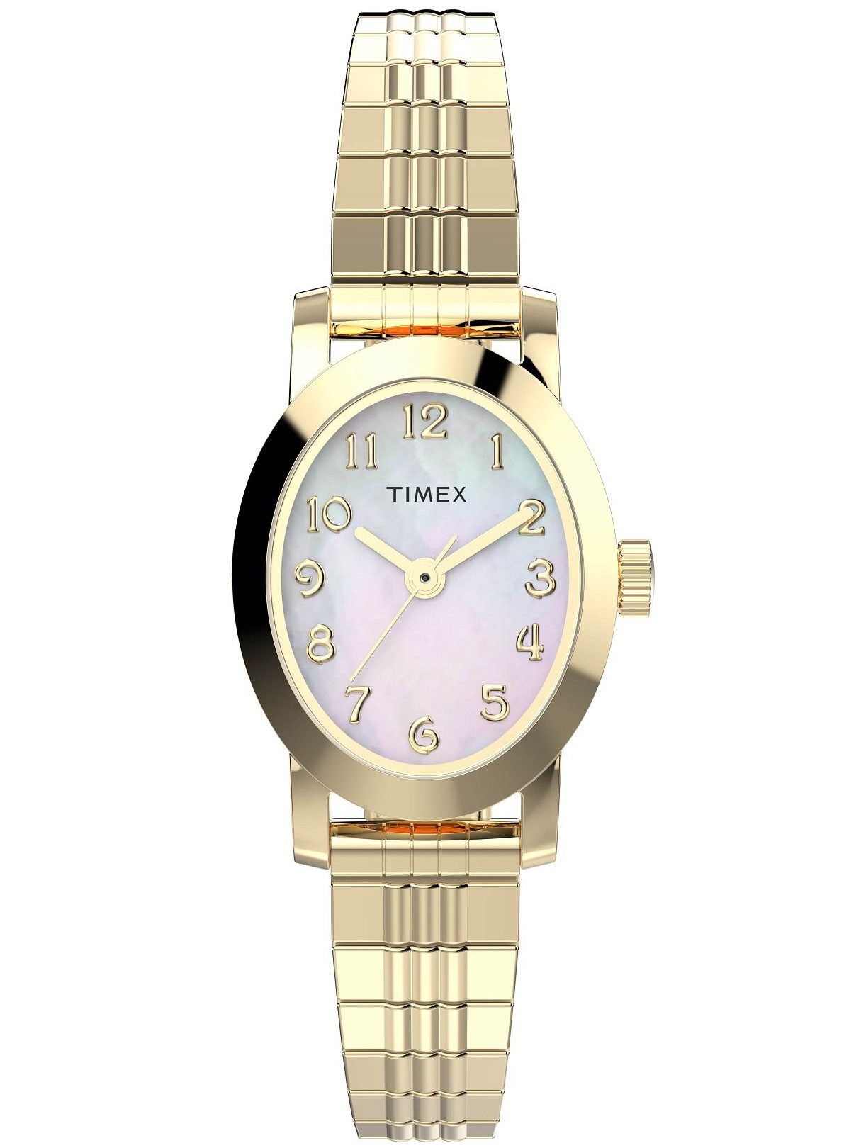 Moteriškas laikrodis TIMEX Cavatina TW2W70100