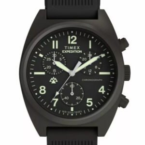 Vyriškas laikrodis TIMEX TW2Y61000