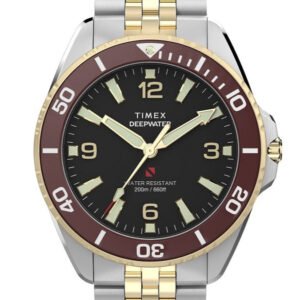 Vyriškas laikrodis TIMEX TW2Y64700