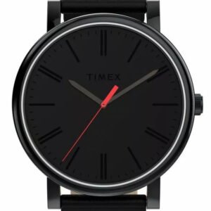 Vyriškas laikrodis TIMEX TW2Y69200