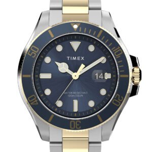 Vyriškas laikrodis TIMEX TW2V42000