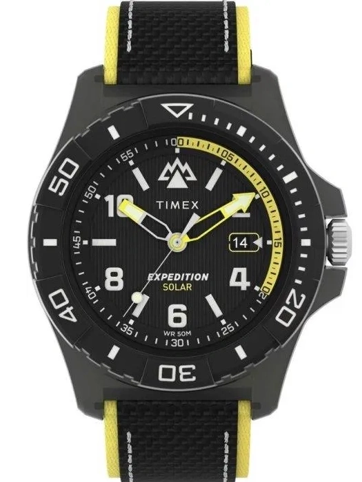 Vyriškas laikrodis TIMEX TW2V66200